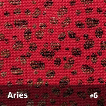 Aries 6
